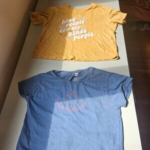 1 Tea and 1 Gap shirt.